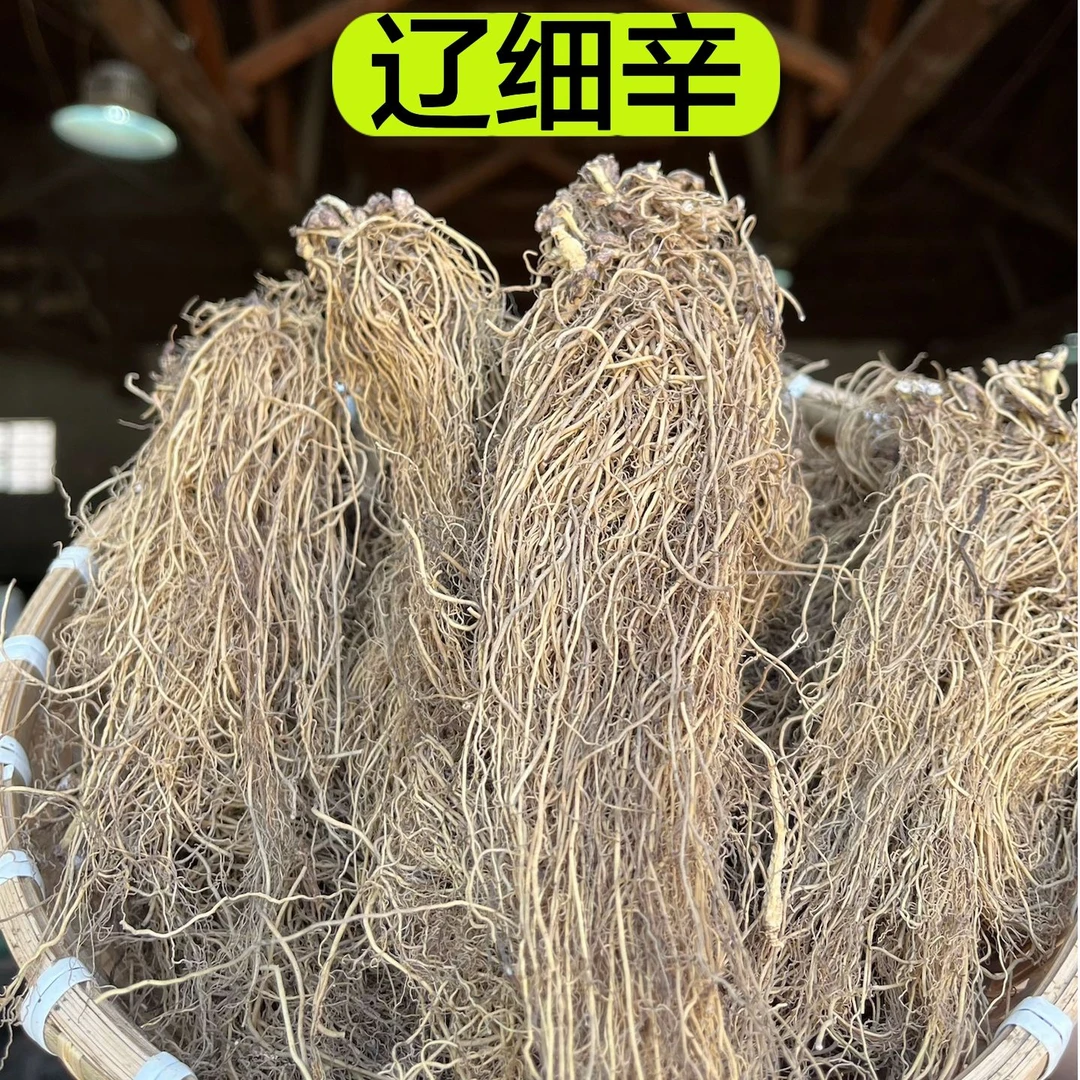 【野辽细辛草】甘肃野辽细辛 纯根细辛 野外多年生长100克