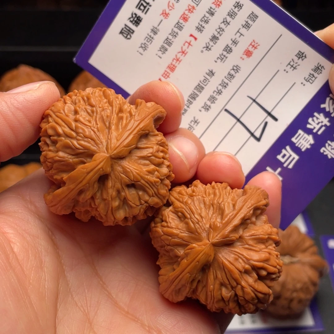 把件文玩核桃白狮子41尺
