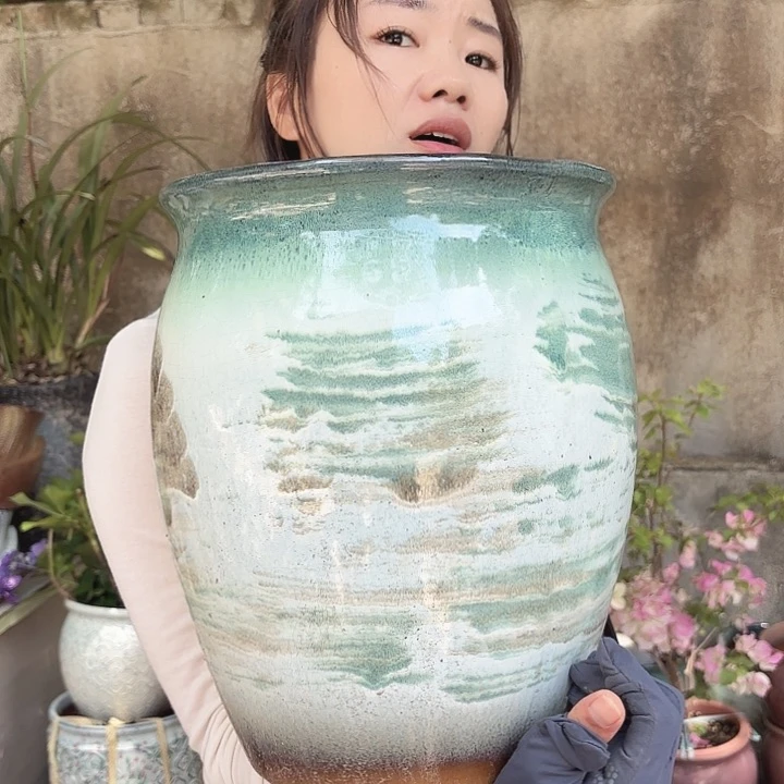 口径25高30一个山水画大号