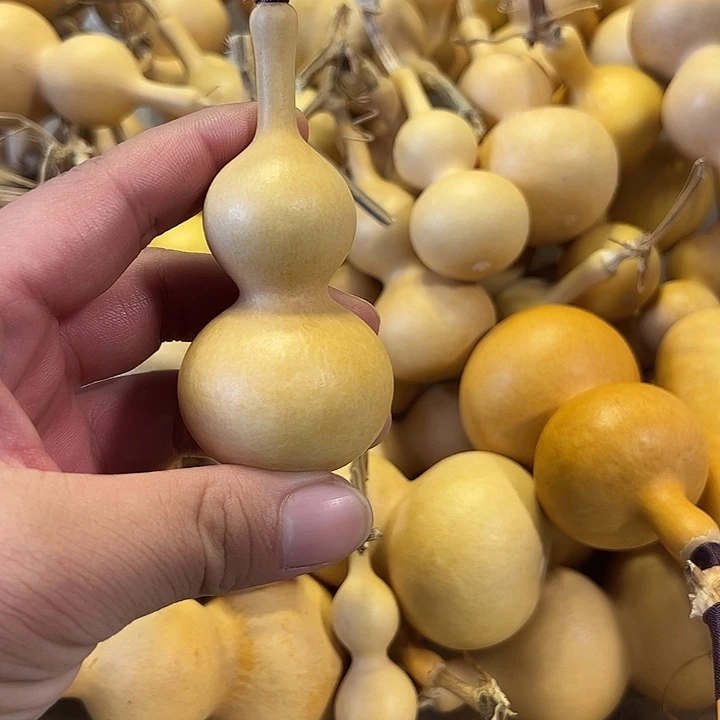 暴***张有机玻璃蚂蚁蚂蚁蚂蚁蚂蚁