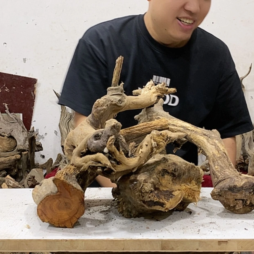 【闪购商品】柏木小*倩我们都是好孩子