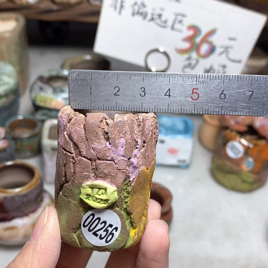 花盆拍3送一个小礼物