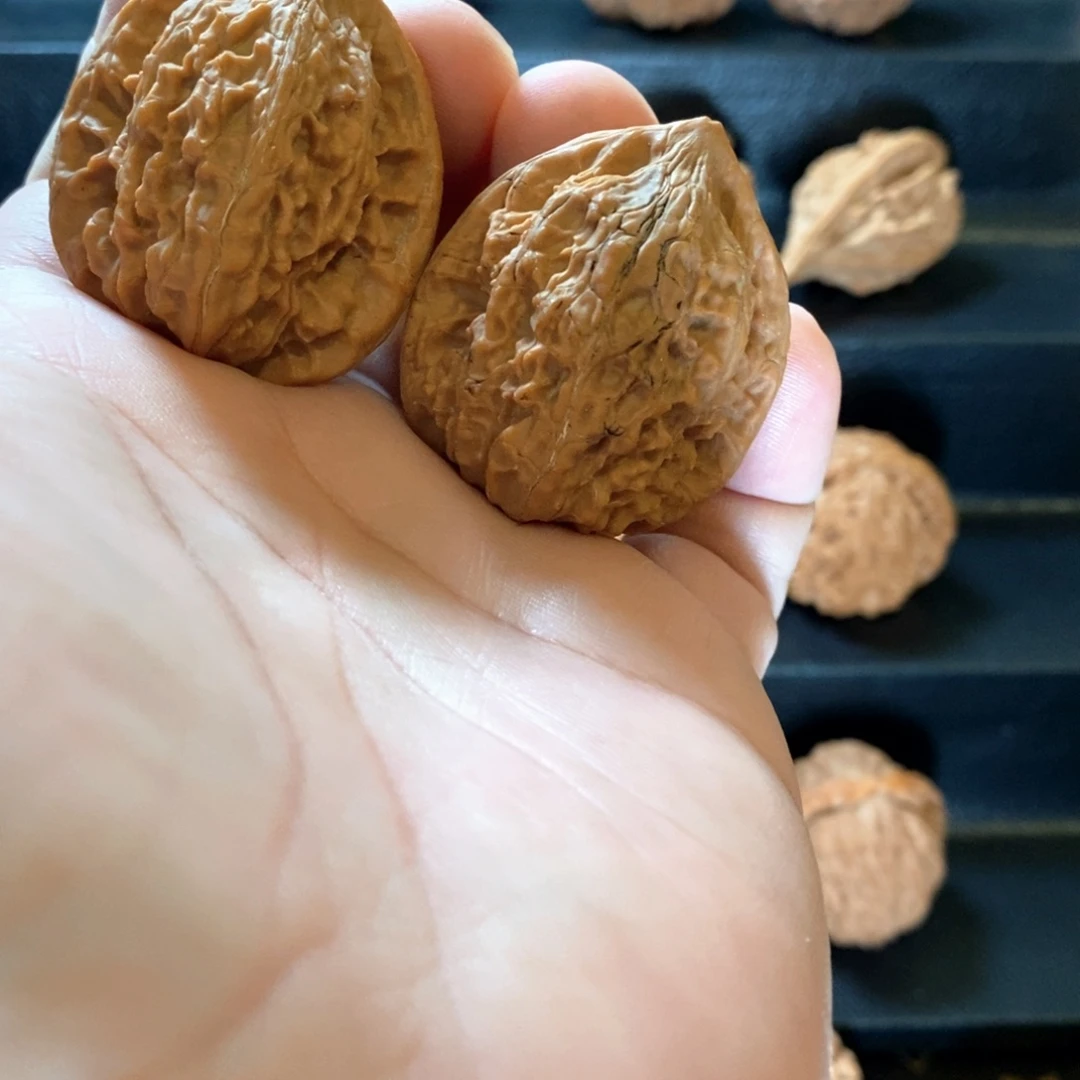 桃核把件徐*兔野生原树鳳羽37