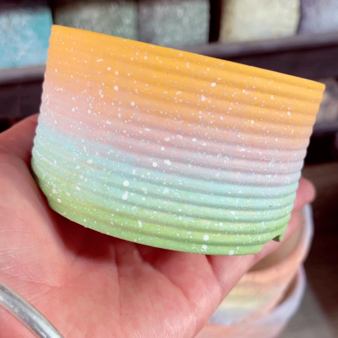 步***發138号带根包邮发货