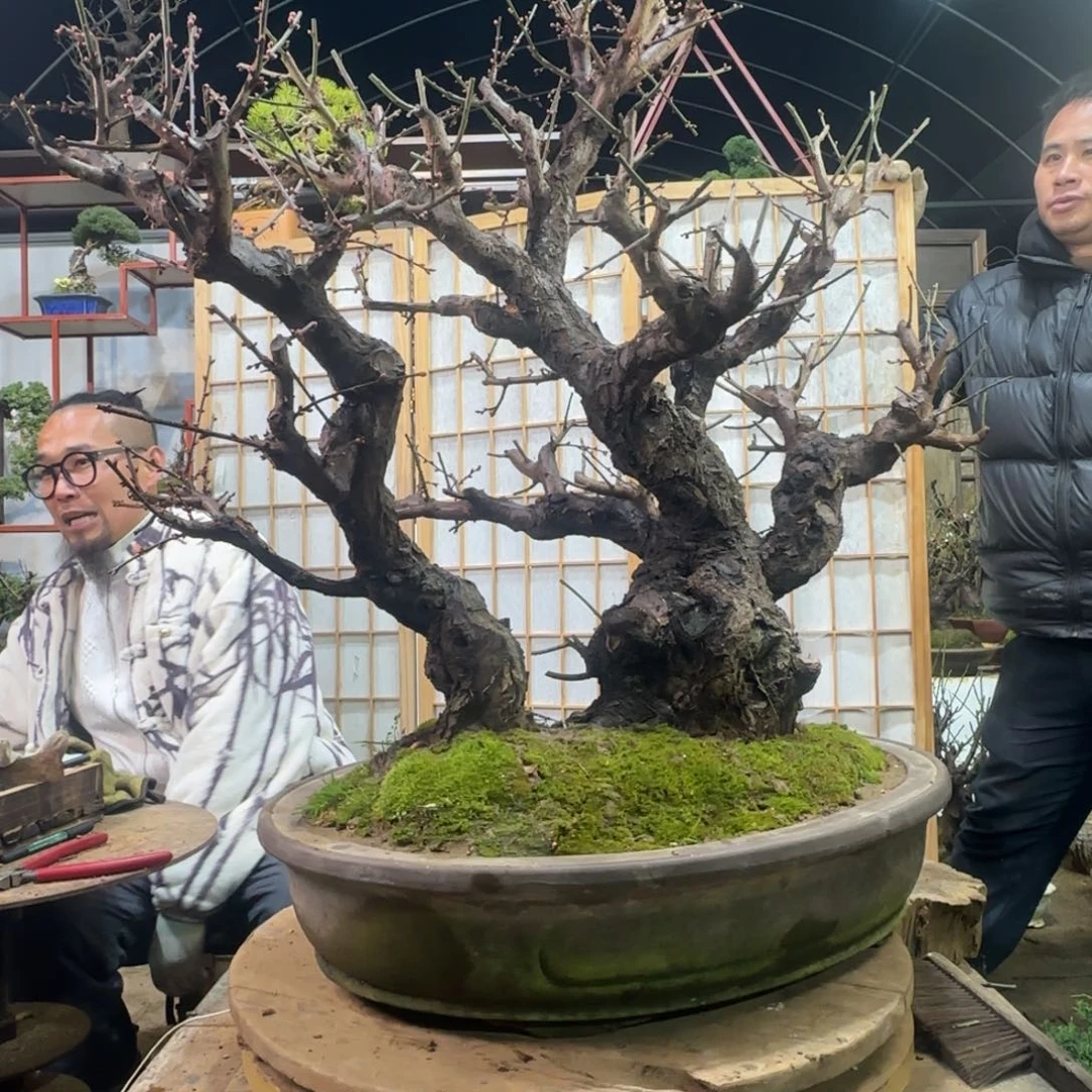 无花朵555555555555