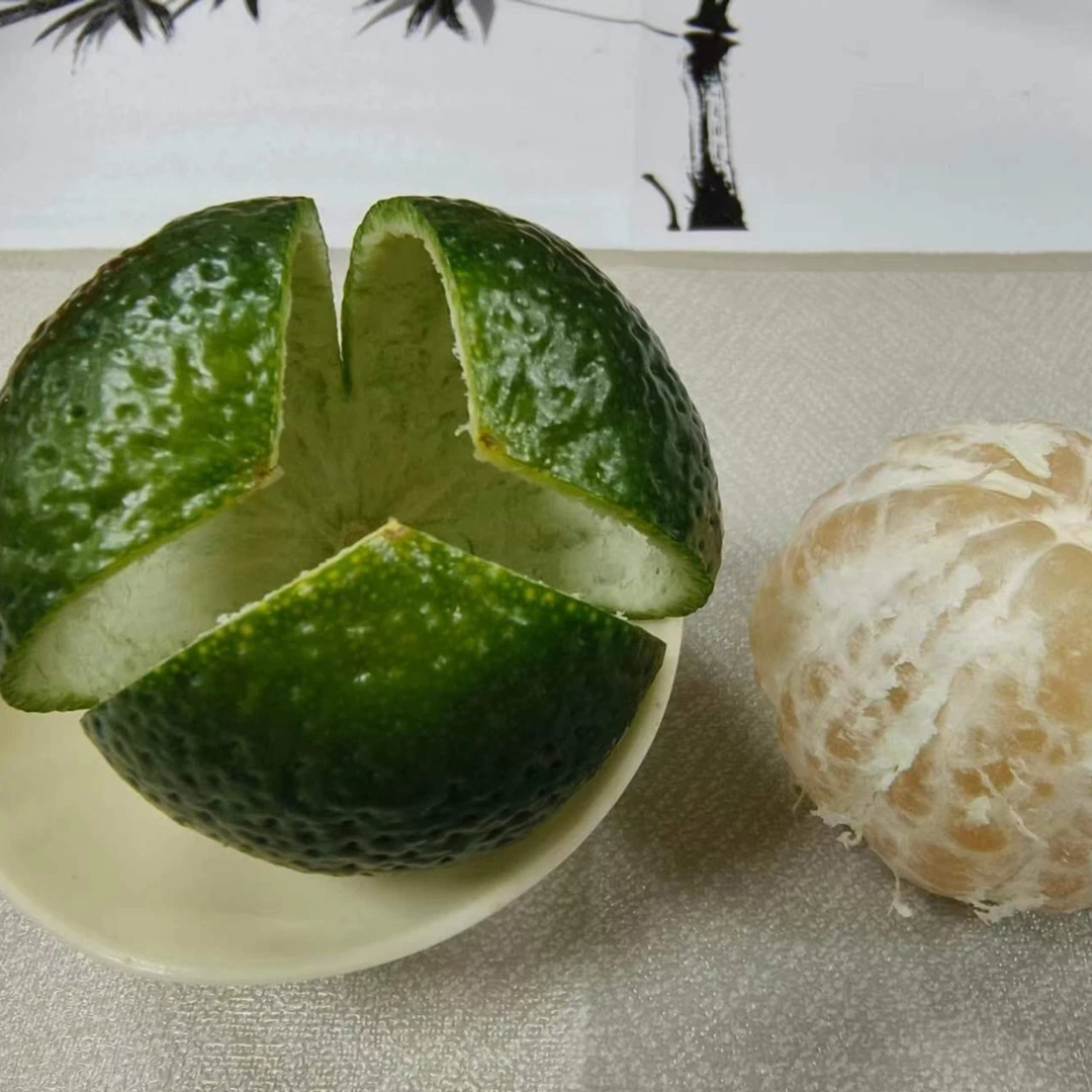 正宗新会陈皮  2024梅江大九口围三花青