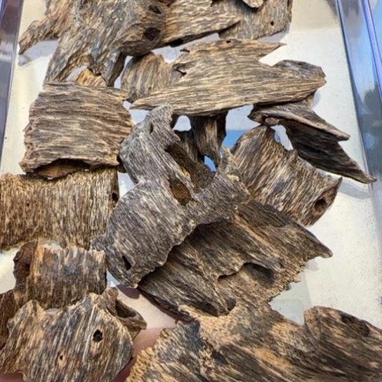 摆件沉香海南野鸡母虫10克多样性发货