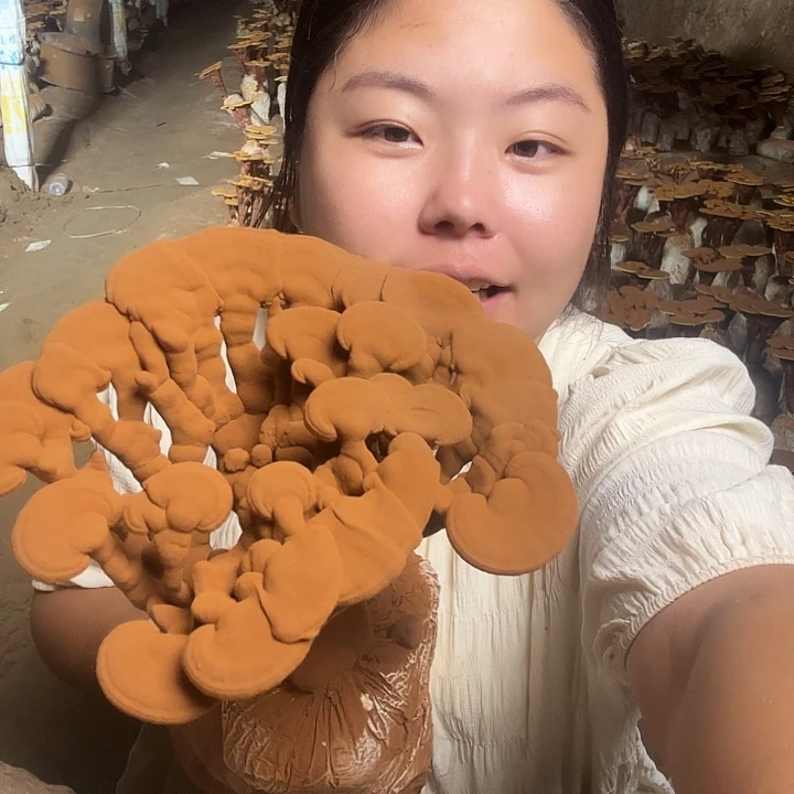 无花朵新****店灵芝孢子囊