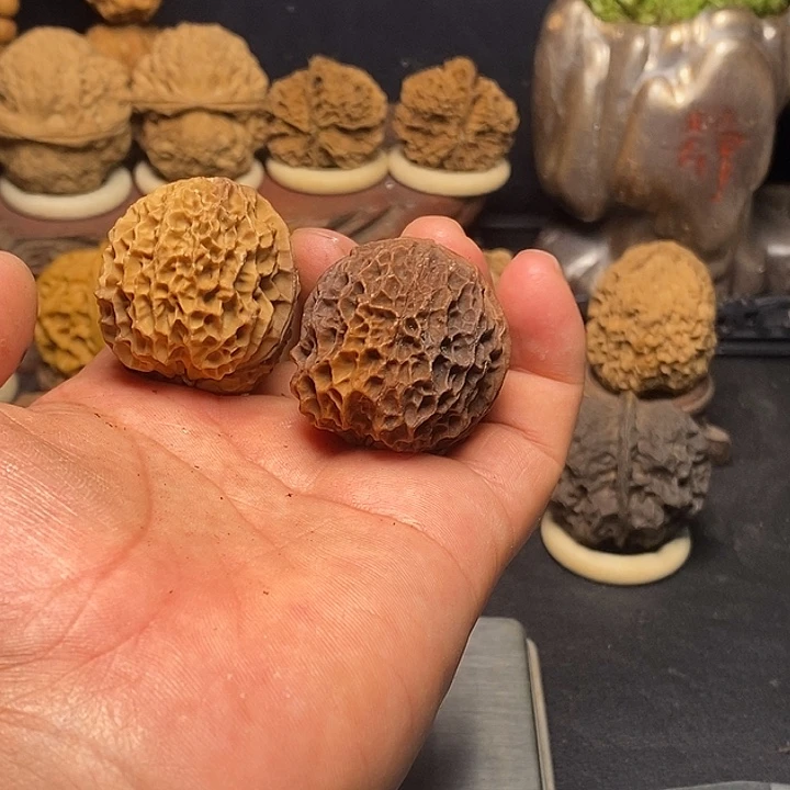 文玩核桃吊坠云南铁核桃6