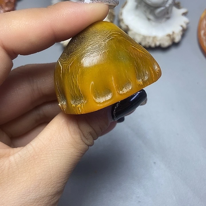 大果紫檀（缅甸花梨）