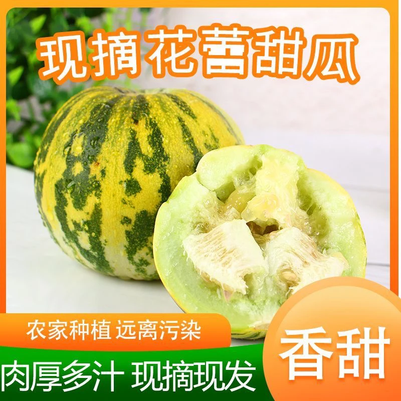 山东头茬香甜当季新鲜水果香瓜3斤5斤花蕾美味蜜瓜采摘三通一达