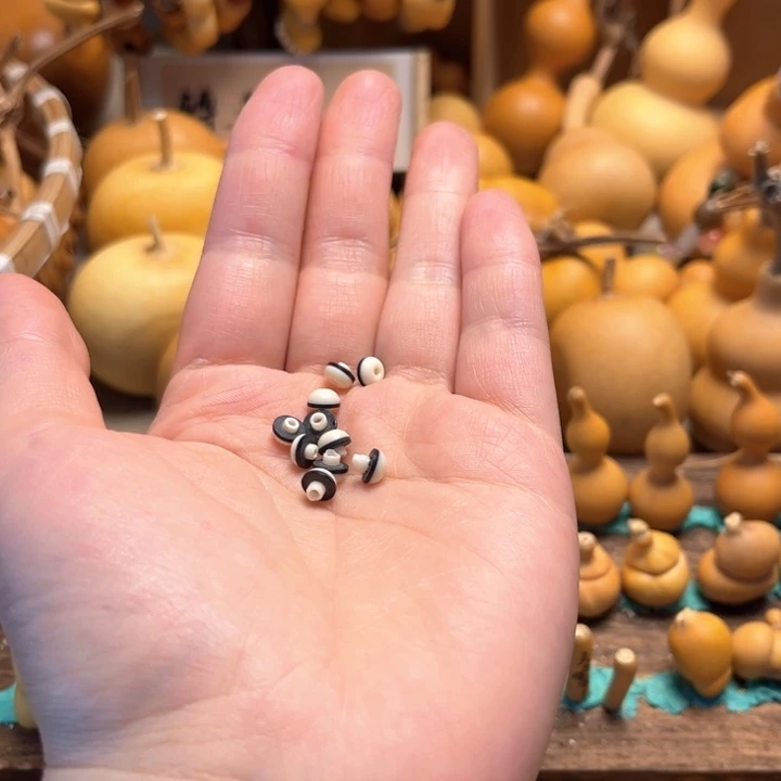 我***条镶口镶口镶口镶口