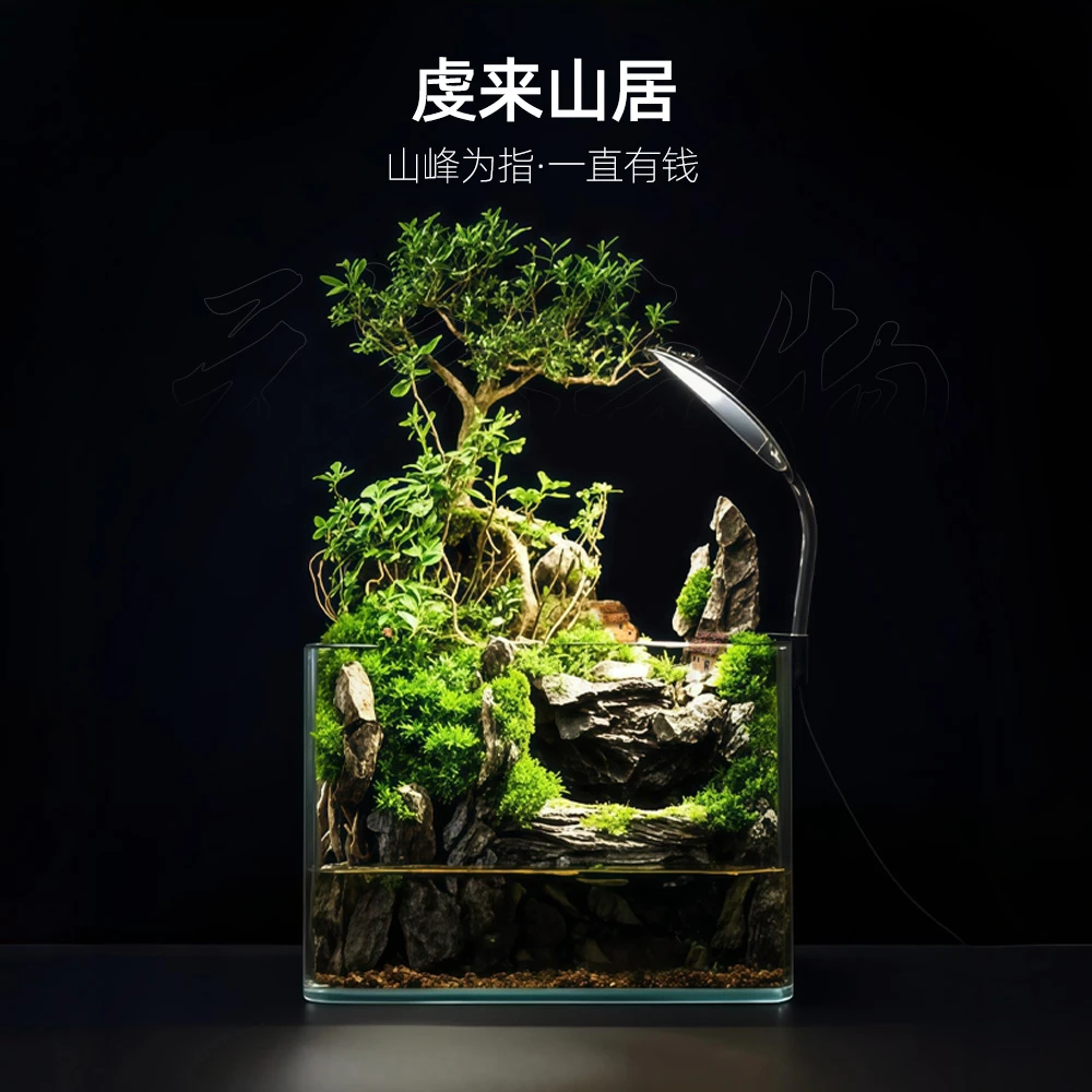 【逍遥】虔来山居—带灯内循环流水金边六月雪真植物【尺寸：25*16*18】