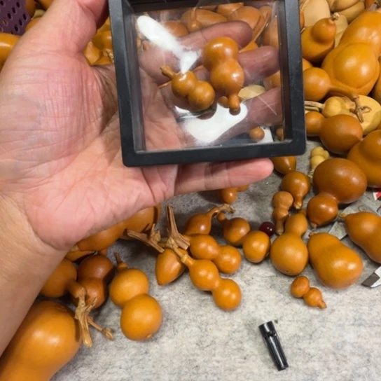 上****四角的两把草泥金葫芦两把，草泥煎葫芦