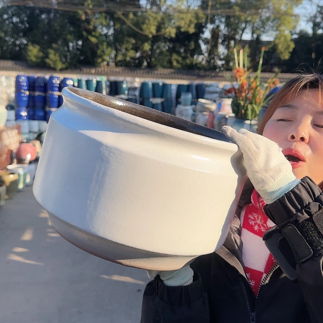 王嫂花盆直播1120-365高20口30