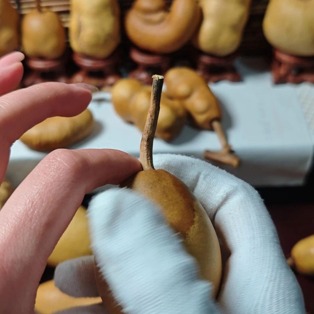 发***仔精品土豆葫芦一物一拍