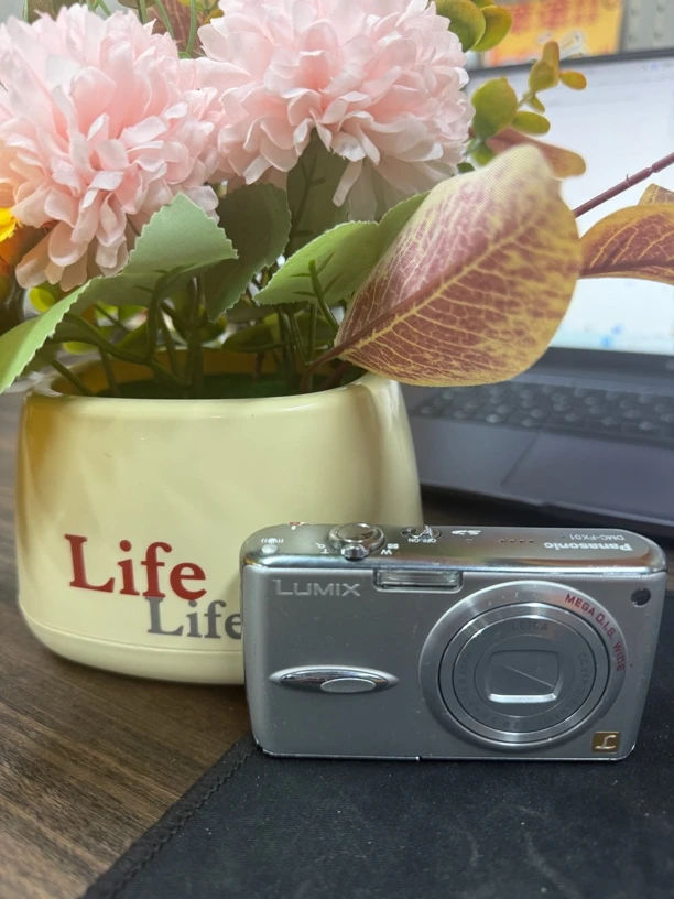 95新 Panasonic/松下 FX01 莱卡镜头像素600w 拍人皮肤呈冷白皮