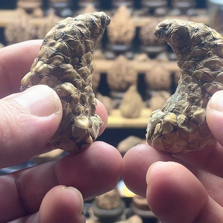 把件文玩核桃龙鳞凤爪