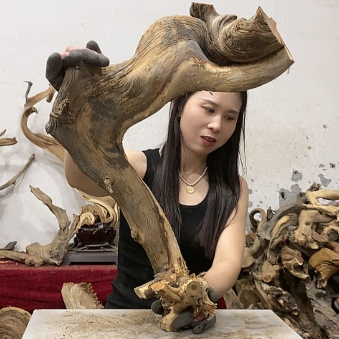 【闪购商品】柏木川****店我们都是好孩子啊