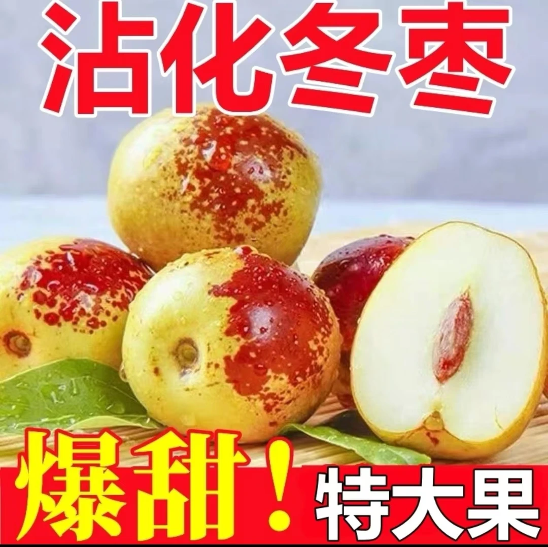 【沾化冬枣特级果王】沾化冬枣新鲜脆甜特级皮薄肉厚果园国际尝鲜