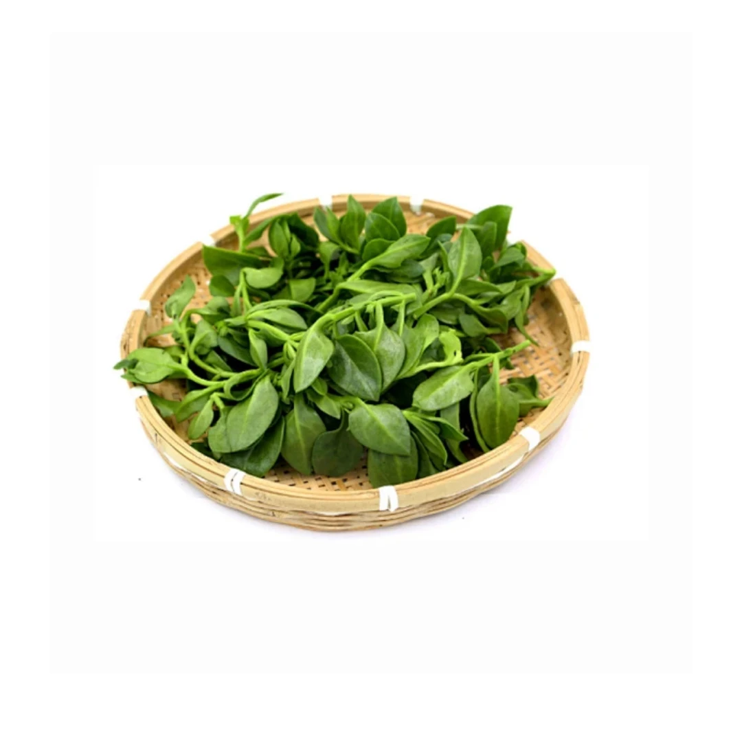 金花菜约300g