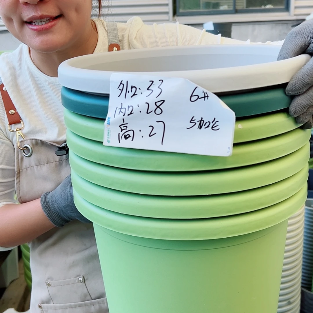 四季盆6#果绿色20个无托