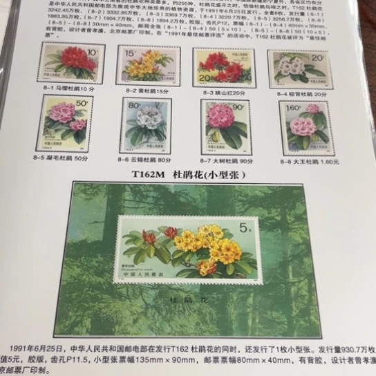 宁****心杜鹃花小型张贴片