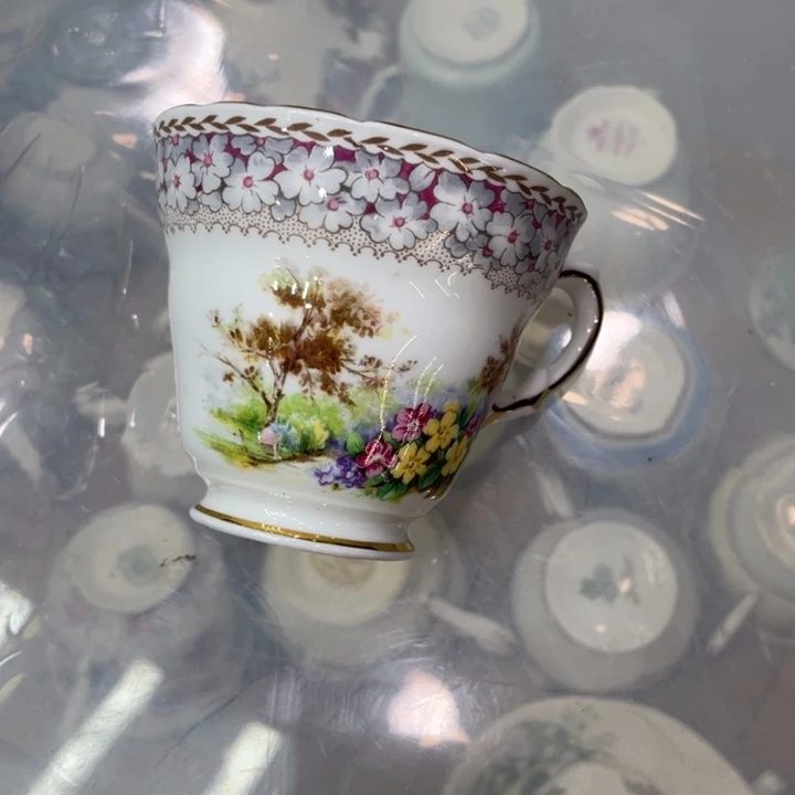 盘维多利亚欧洲中古