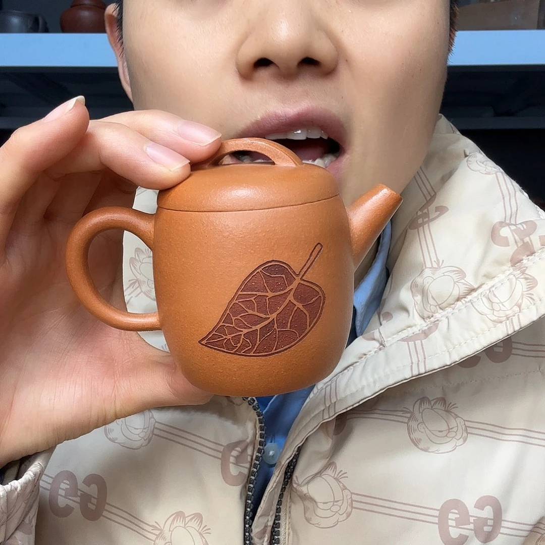 紫砂茶壶民间手艺人全手工制作