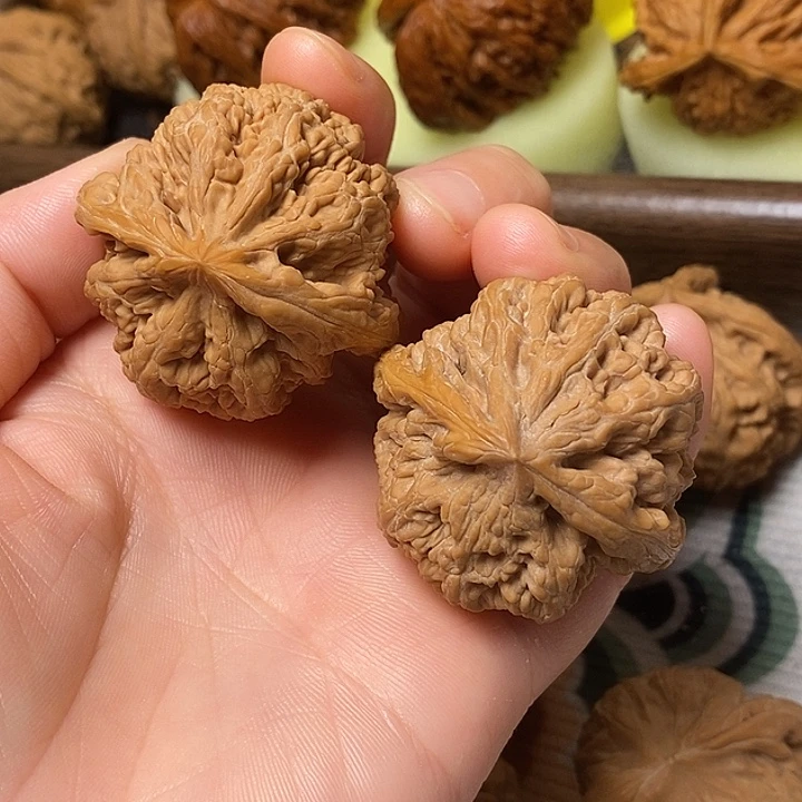 文玩核桃吊坠40大粗筋全家福