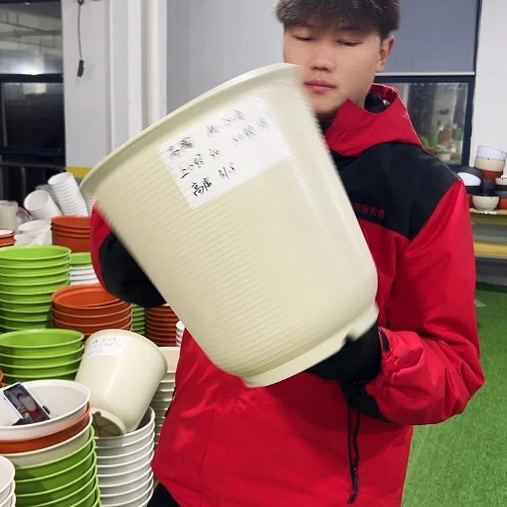 正品高陶口30高31米色3只无托