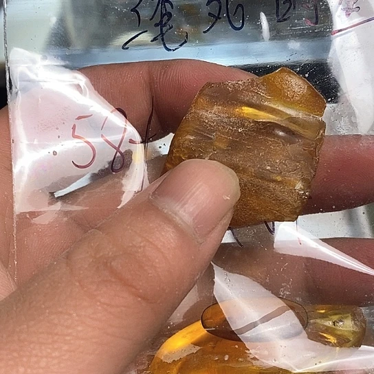 琥珀裸石未镶嵌淹**鱼