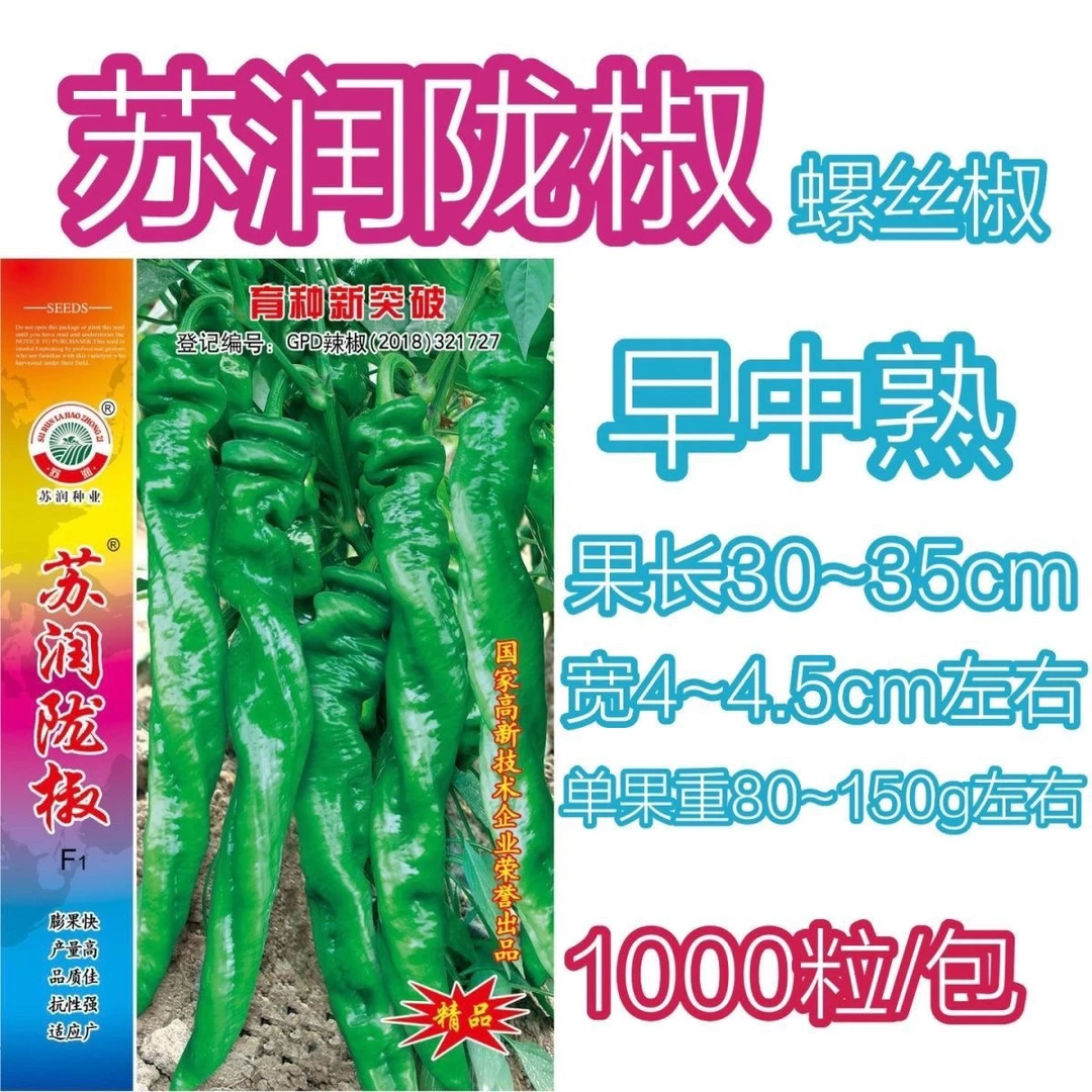 苏润陇椒螺丝椒辣椒种子早中熟抗病高产中辣皮厚高产抗病抗寒