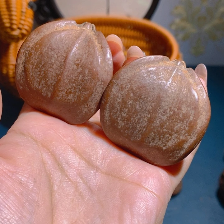 野生三花大橄榄核