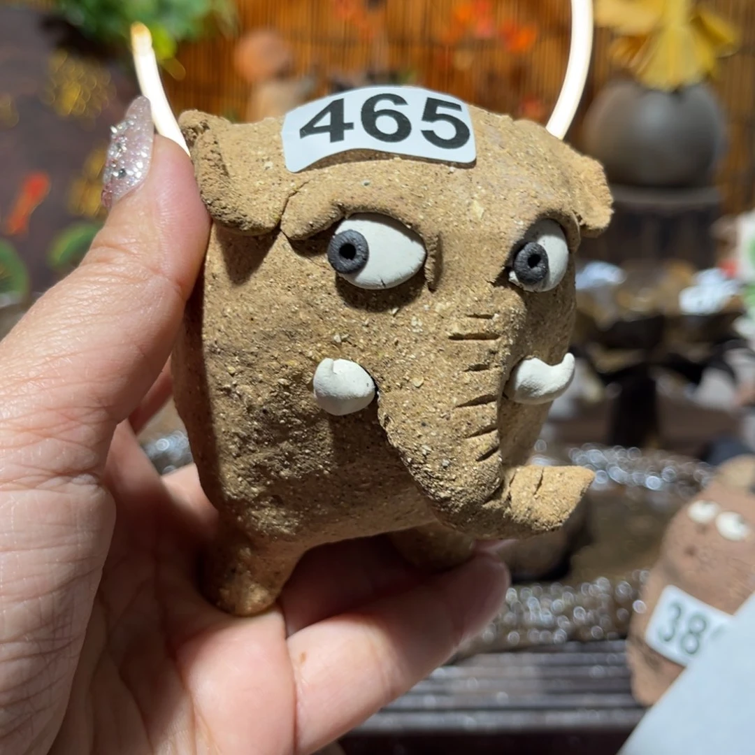 木村信弘柴烧保平