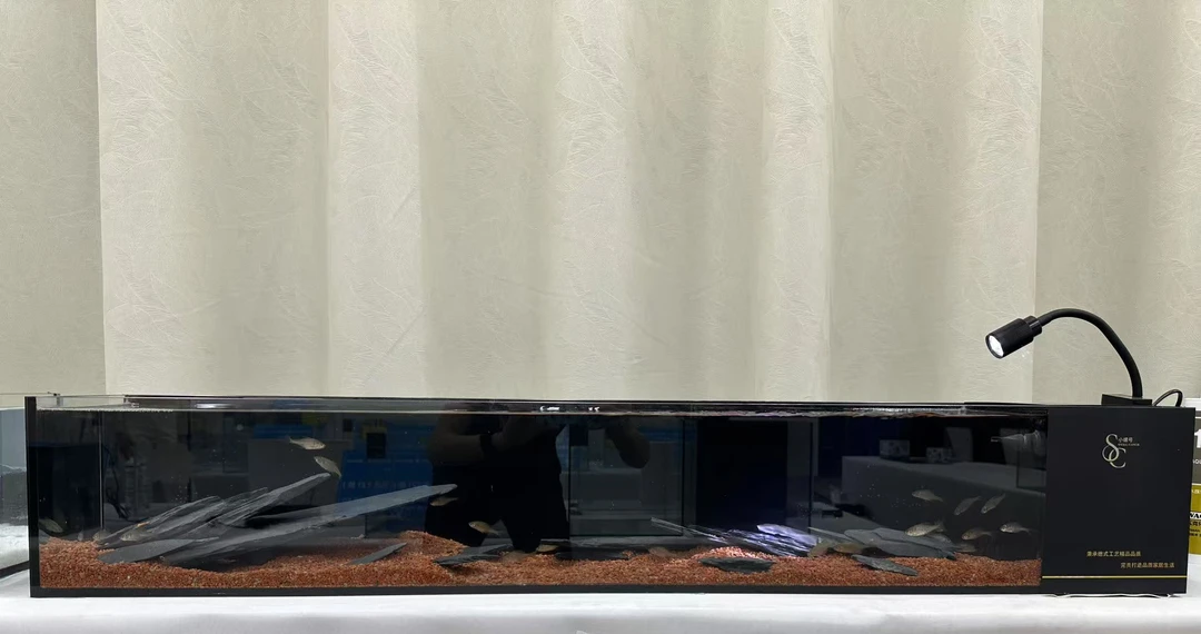 【单独景】生态溪流缸家用鱼缸溪流南美沙滩砂石造景