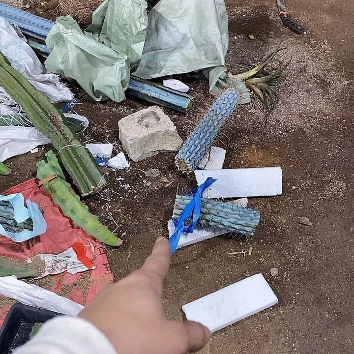 勿***安3号拍品。