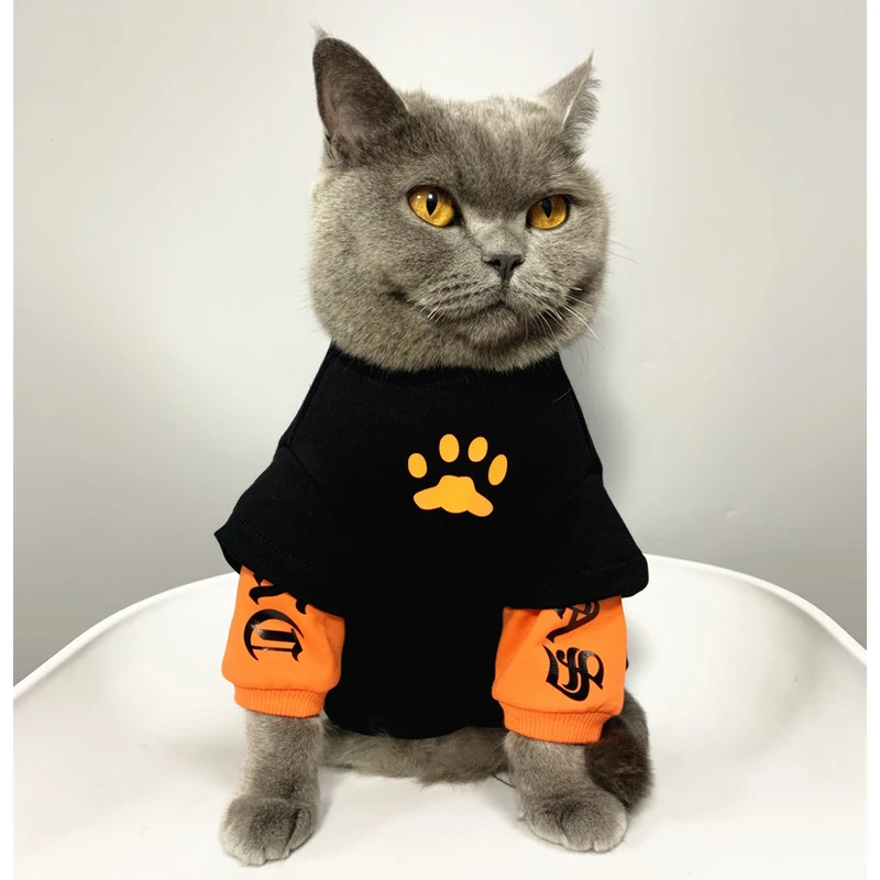 猫咪衣服幼猫蓝猫布偶猫透气宠物猫猫春夏季薄防掉毛T恤短袖