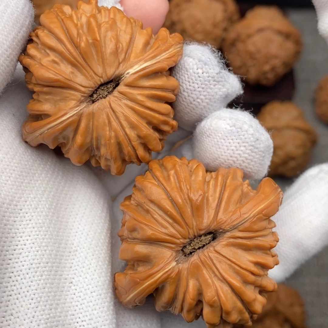 文玩核桃把件45毕业南瓜楼复刻底儿