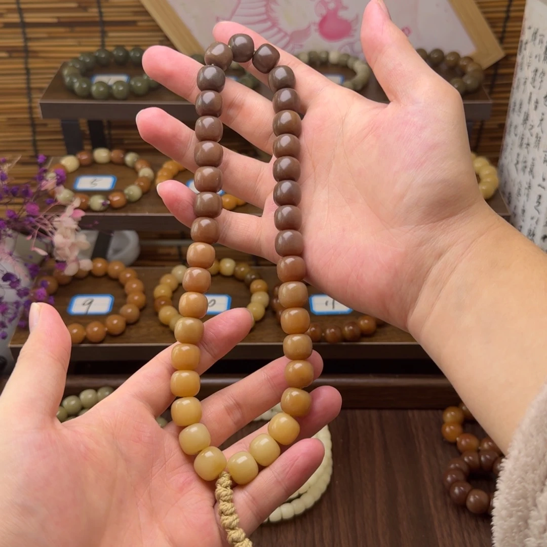 吊坠菩提根/象牙果