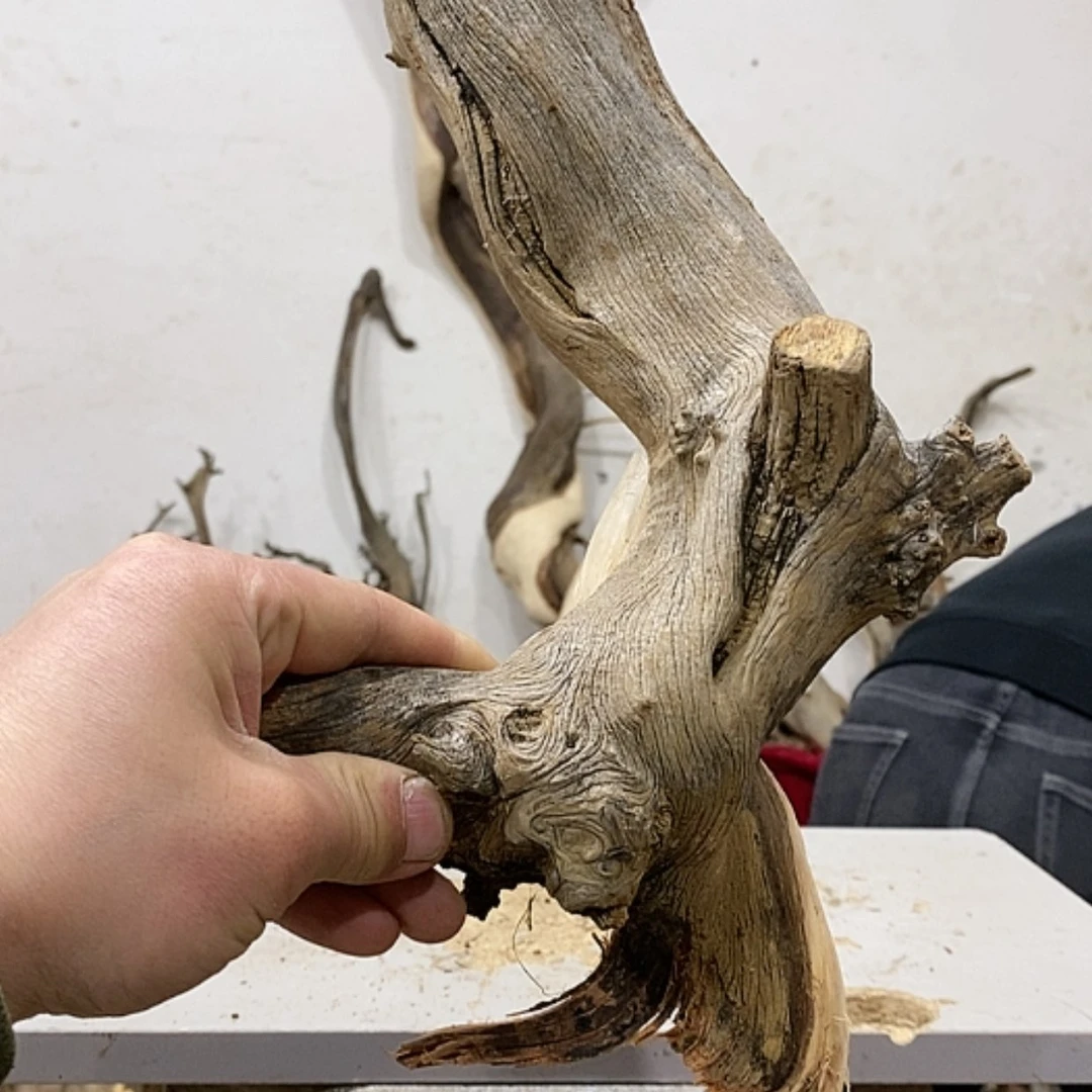 【闪购商品】柏木梦**了我们都是好孩子