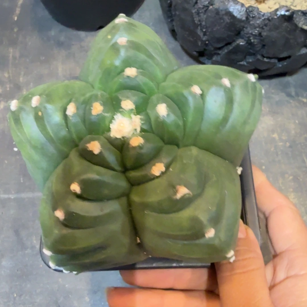 哈哈哈哈哈哈哈哈