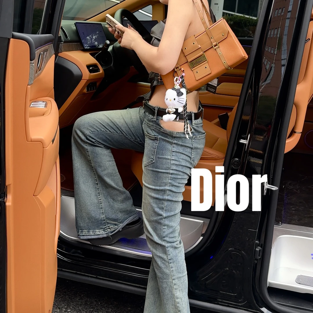 修复品618887/DIOR/迪奥punk腋下包