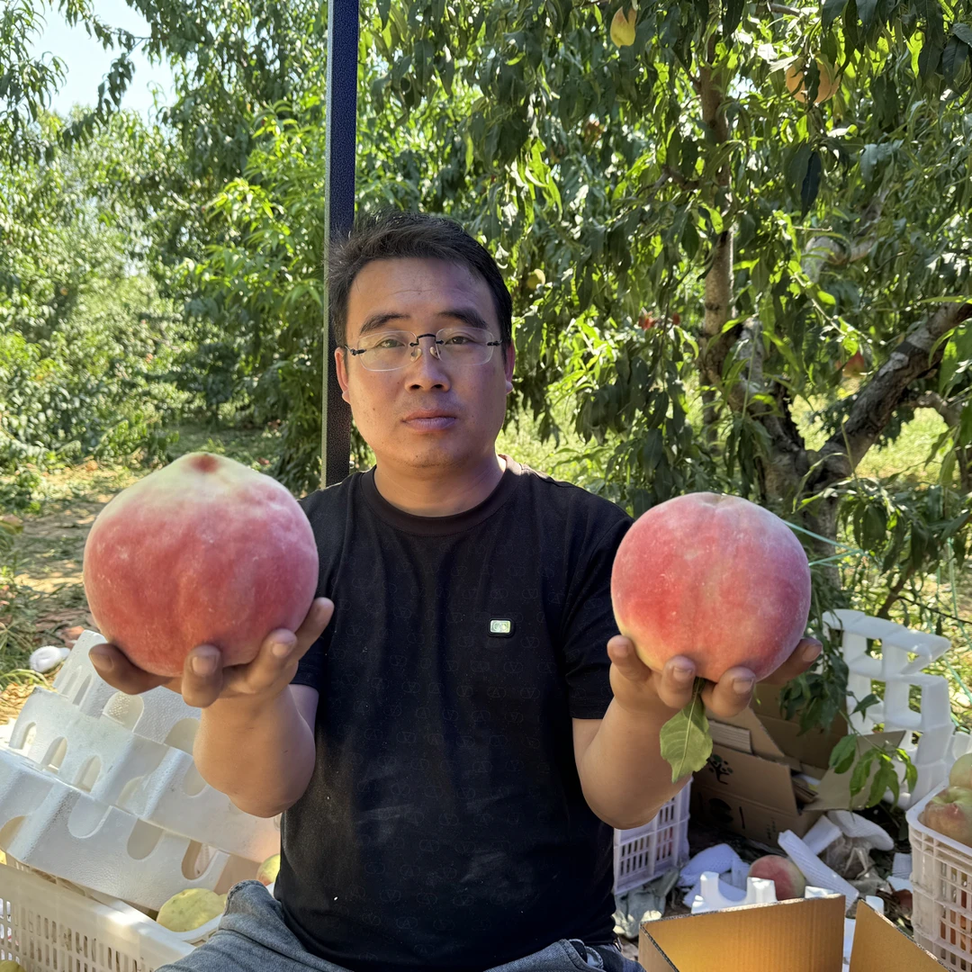 新三农老姚大桃子处理自然成熟当季时令水果产地包邮