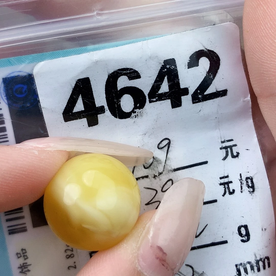 琥珀未镶嵌珠宝奇石17.2植物