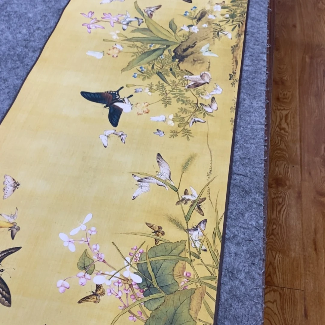 横款百蝶1111111111