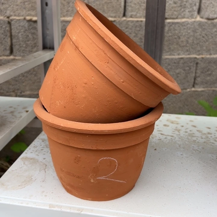 19×14 拍一发二红陶