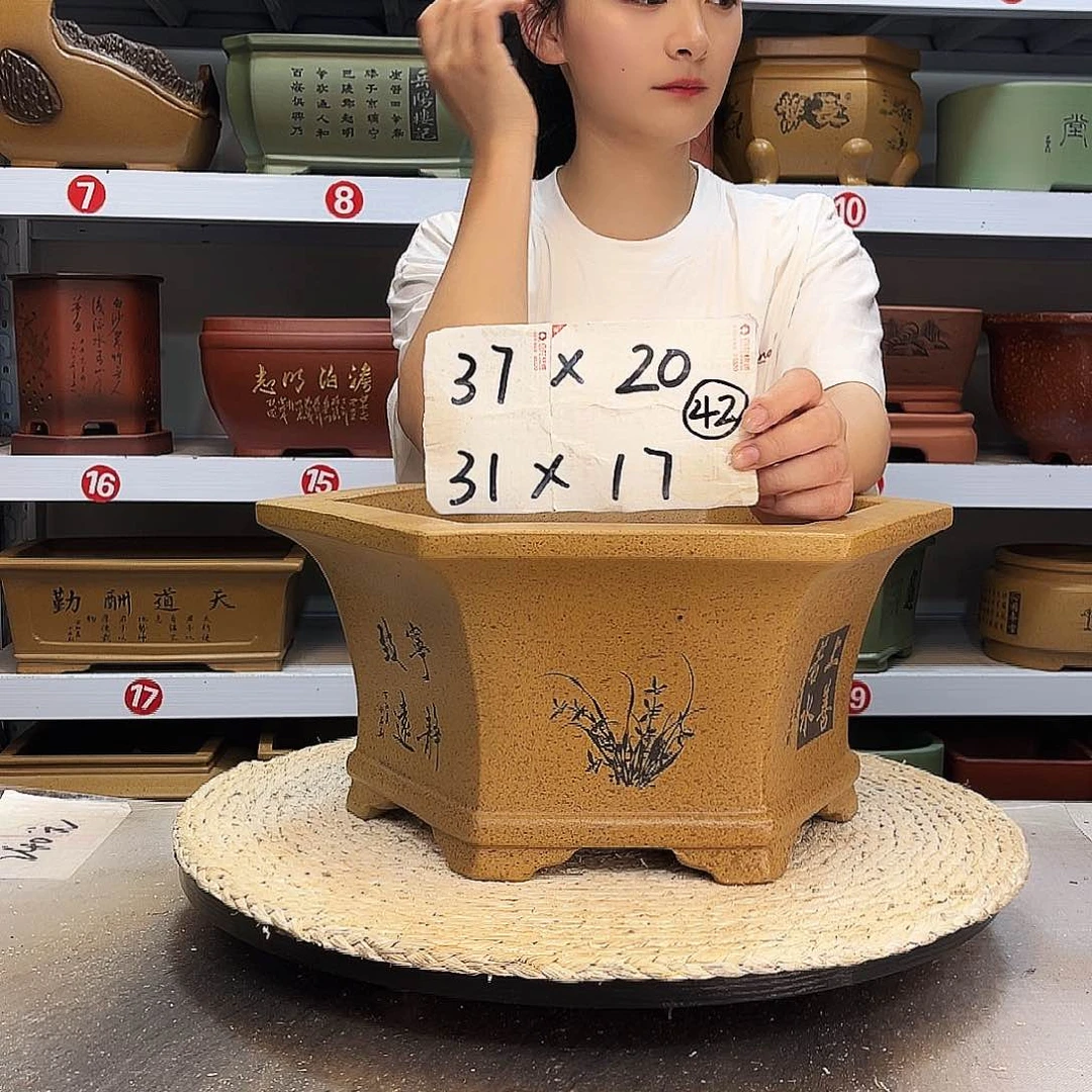 紫砂花盆紫砂花盆