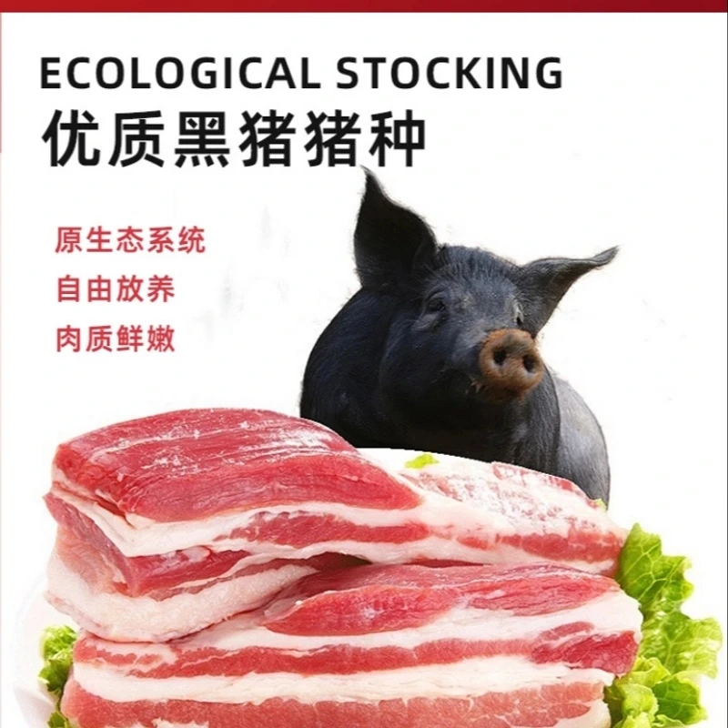 【黑猪肉称重专用2】大别山散养黑猪肉农家散养醇香好吃