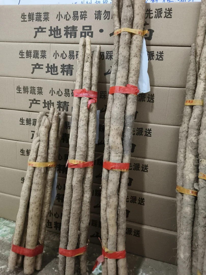 软糯香甜精品山药河北小白嘴山药低脂低糖老人孩子都可以吃